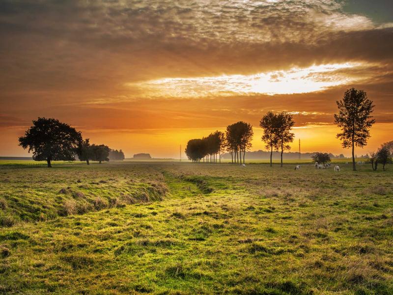零氪党福音:2025年手游不花钱的游戏排行与深度解析